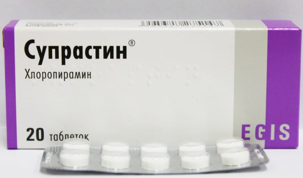 Что делать, если собаку или щенка укусила оса