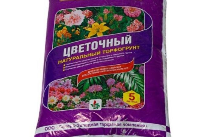 почва для цветов 