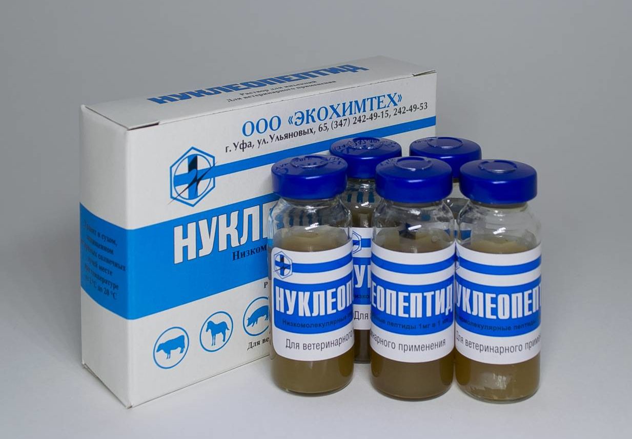 Кормление кролика для набора веса