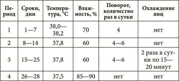 Стол для инкубации утиных яиц