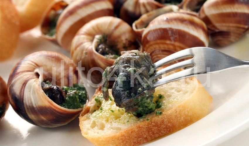 приготовление улиток 