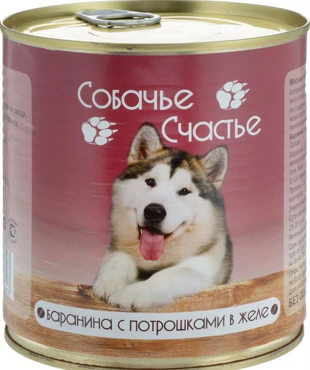 Собачье счастье