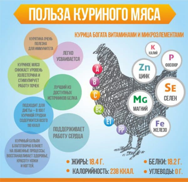 Птицеводство в России