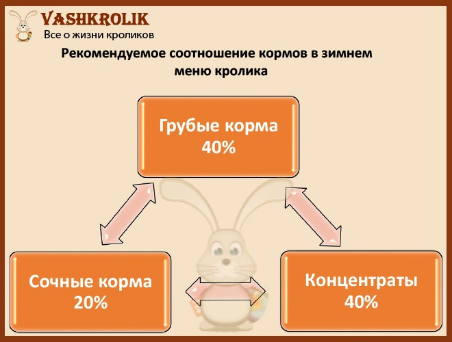 Чем питается кролик зимой