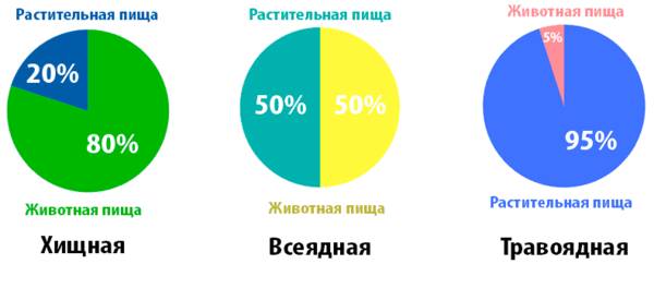 рацион питания