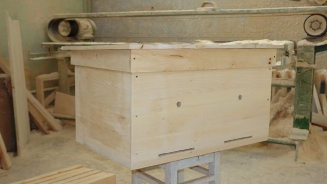 Популярные виды ульев для пчел