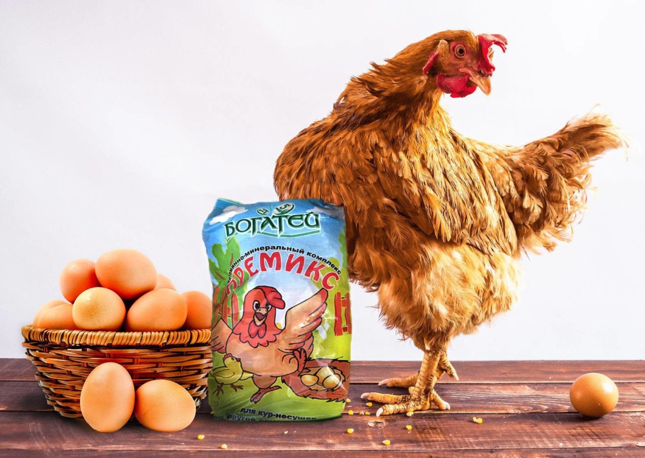 корм для кур