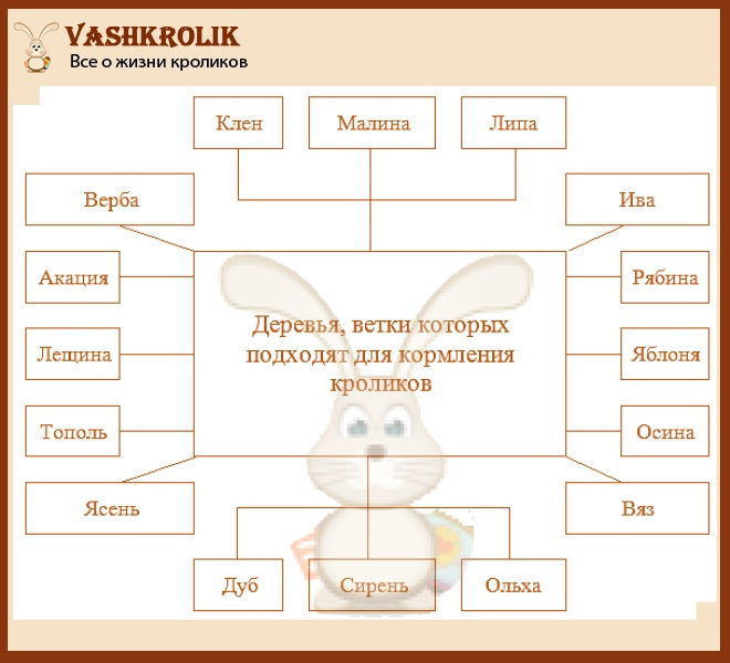 Ветки для кролей