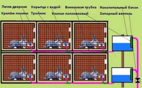 Автоматическая поилка для кроликов
