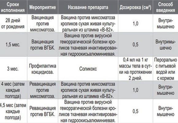 Прививки кроликам