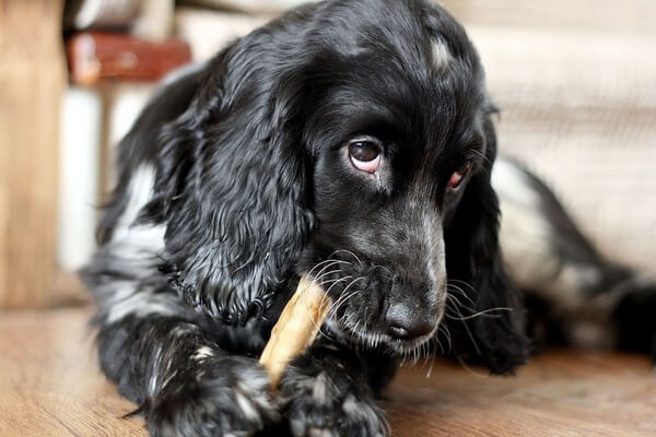 тринадцать