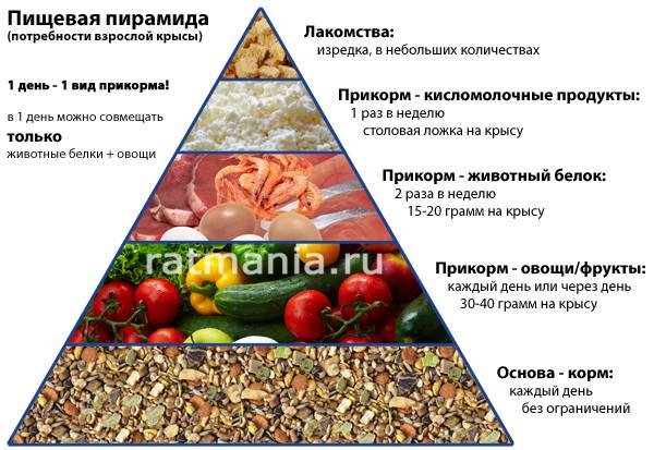 пирамида