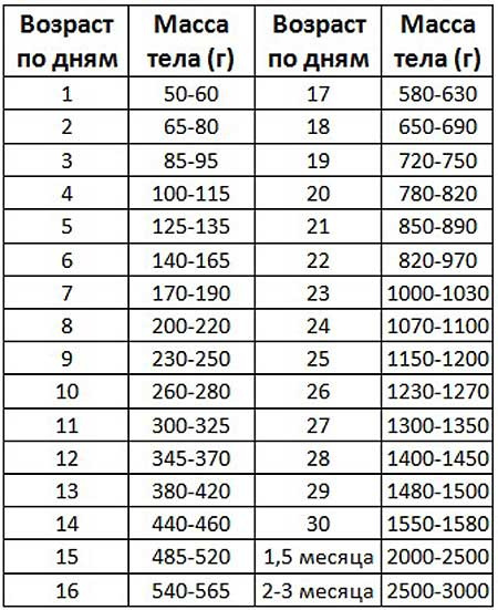 Я должен проверить таблицу 