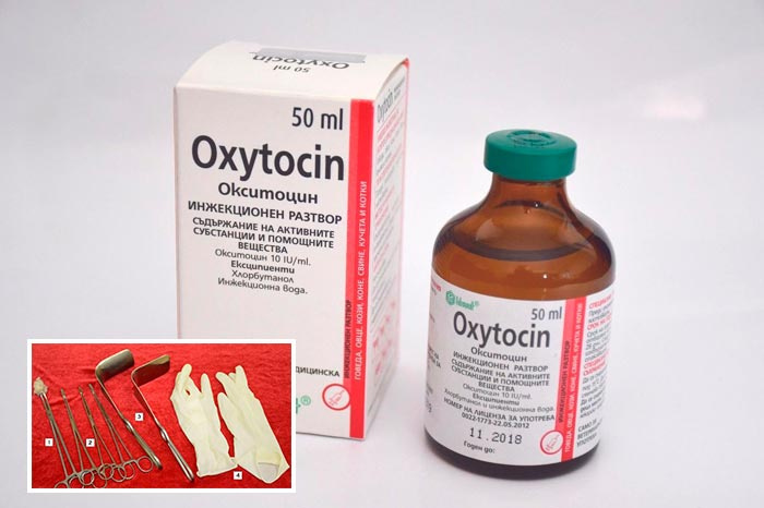 окситоцин