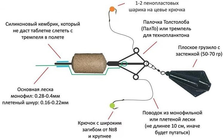 Что за рыба толстолобик, как его поймать и как приготовить вкусную рыбу
