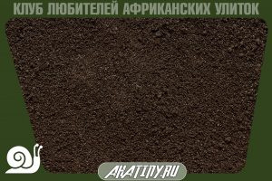 Zemlja pochva dlja ulitki 