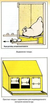 Гнездо с двойным дном 