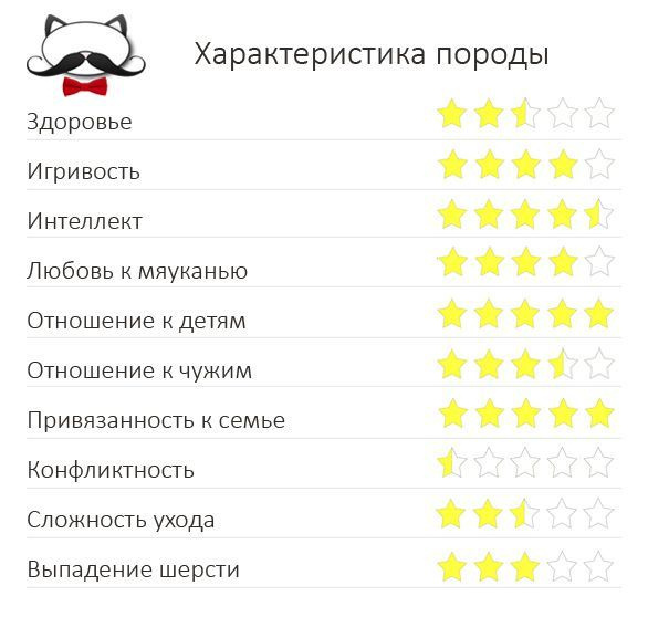 Характеристика бурманской породы