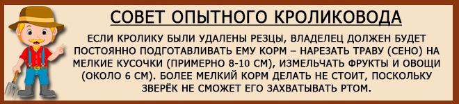 Как приготовить корм для кроликов