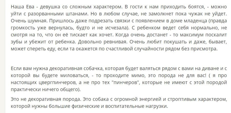Миниатюрный пинчер или миниатюрный пинчер: описание породы, отзывы