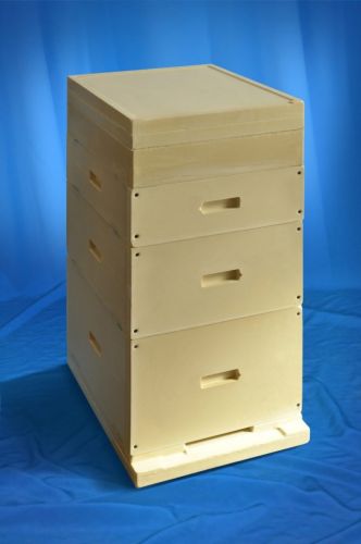 Популярные виды ульев для пчел