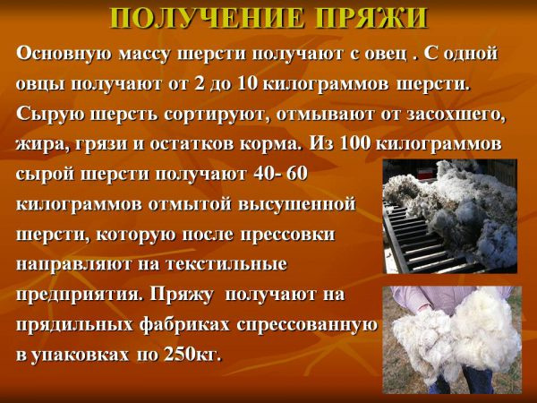 Овечья шерсть