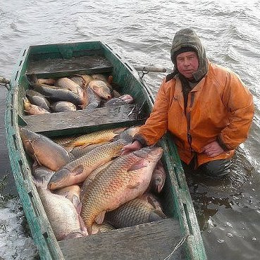 Особенности рыби белуги