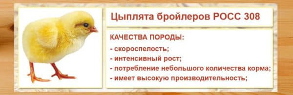 Птицеводство в России