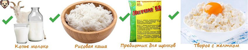 Кормление месячного щенка