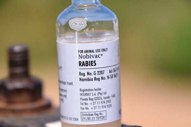 Нобивак против бешенства: инструкция по применению вакцины против бешенства для собак и кошек