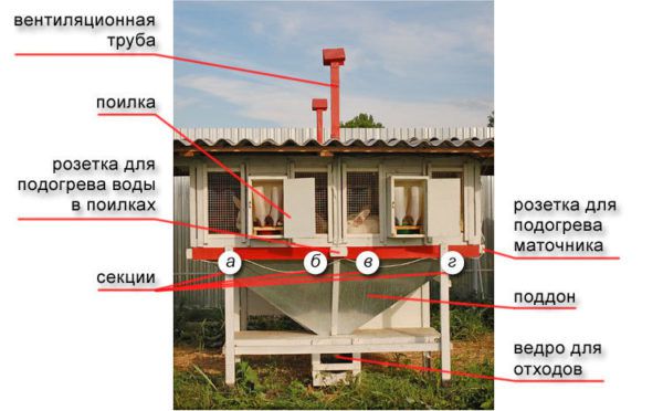 План-схема крольчатника