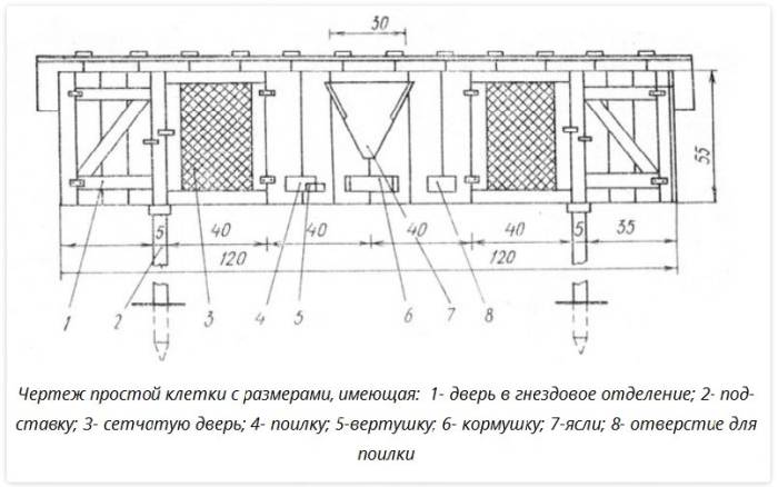 Чертеж клетки для кроликов