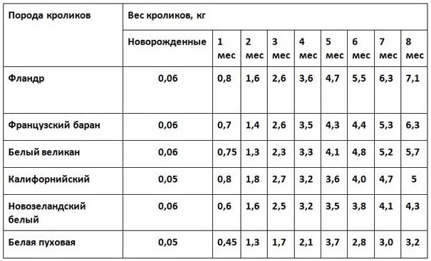 Таблица среднего веса кролика