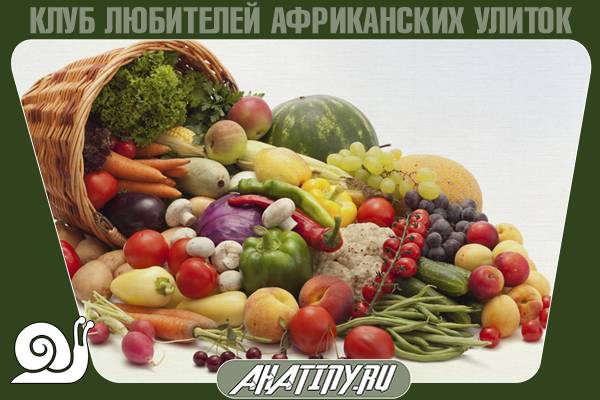 Чем кормить achatina reticulata для получения красивой раковины 