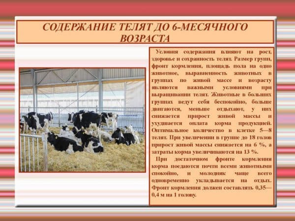 Системы и способы содержания коров