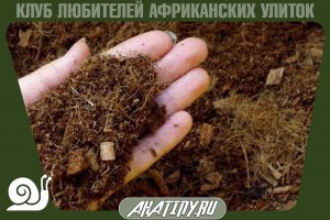 Кокосовый субстрат дл я улитки 