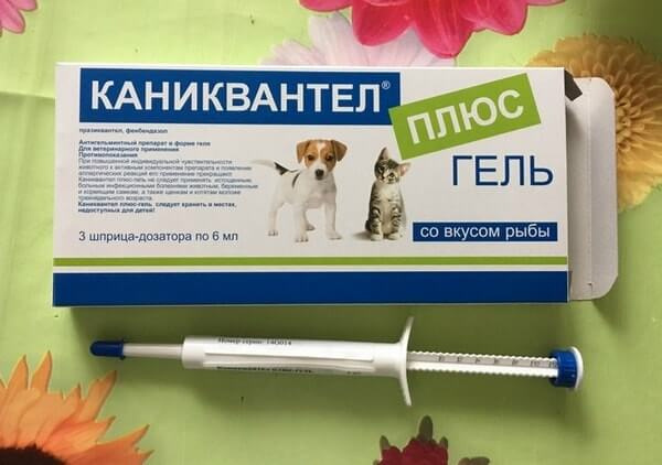 Каниквантел гель
