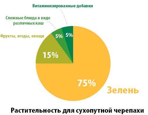 растительность для наземной черепахи