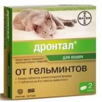 Дронтал