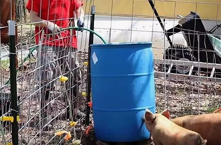 Независимая питьевая соска