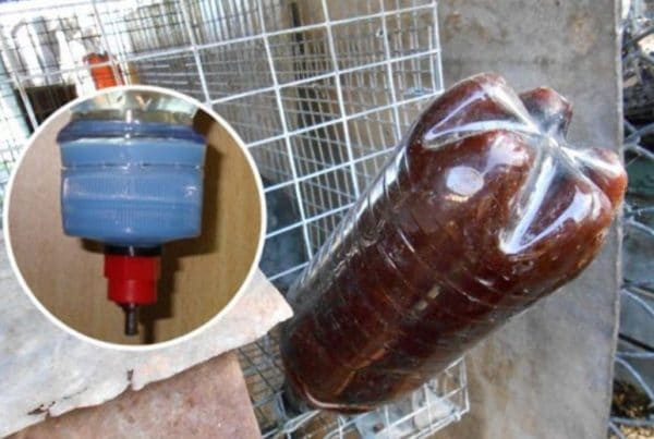 Питье из бутылки 