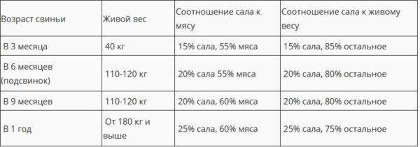 Вес свиньи 