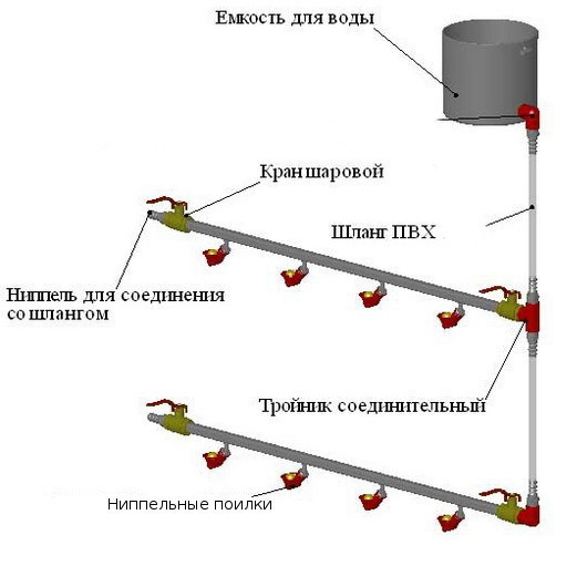 соски-пуанты_1 