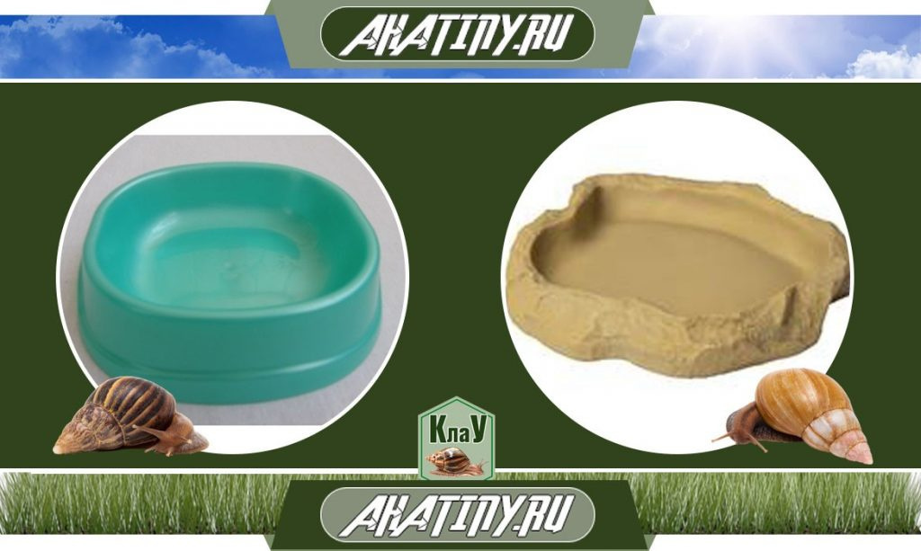 Контейнер для улитки 