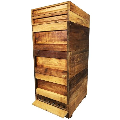 Популярные виды ульев для пчел