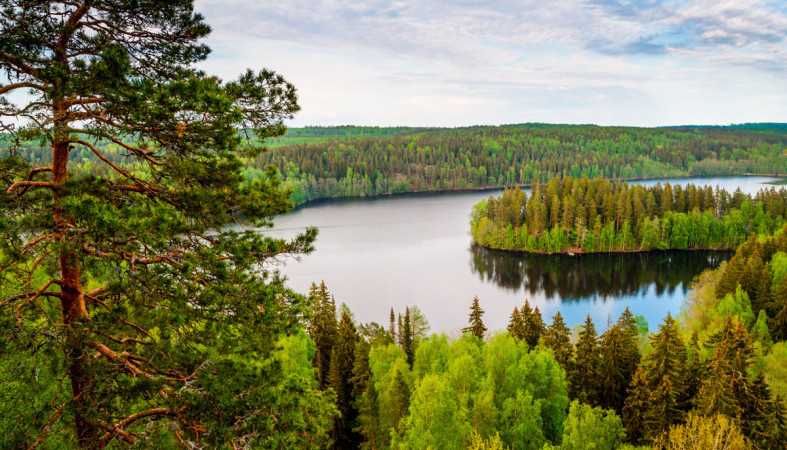 Финская природа