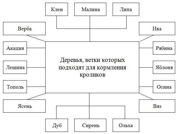 Кормление кролика травой