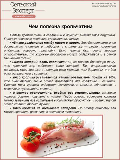 Достоинства кроликов мясных пород