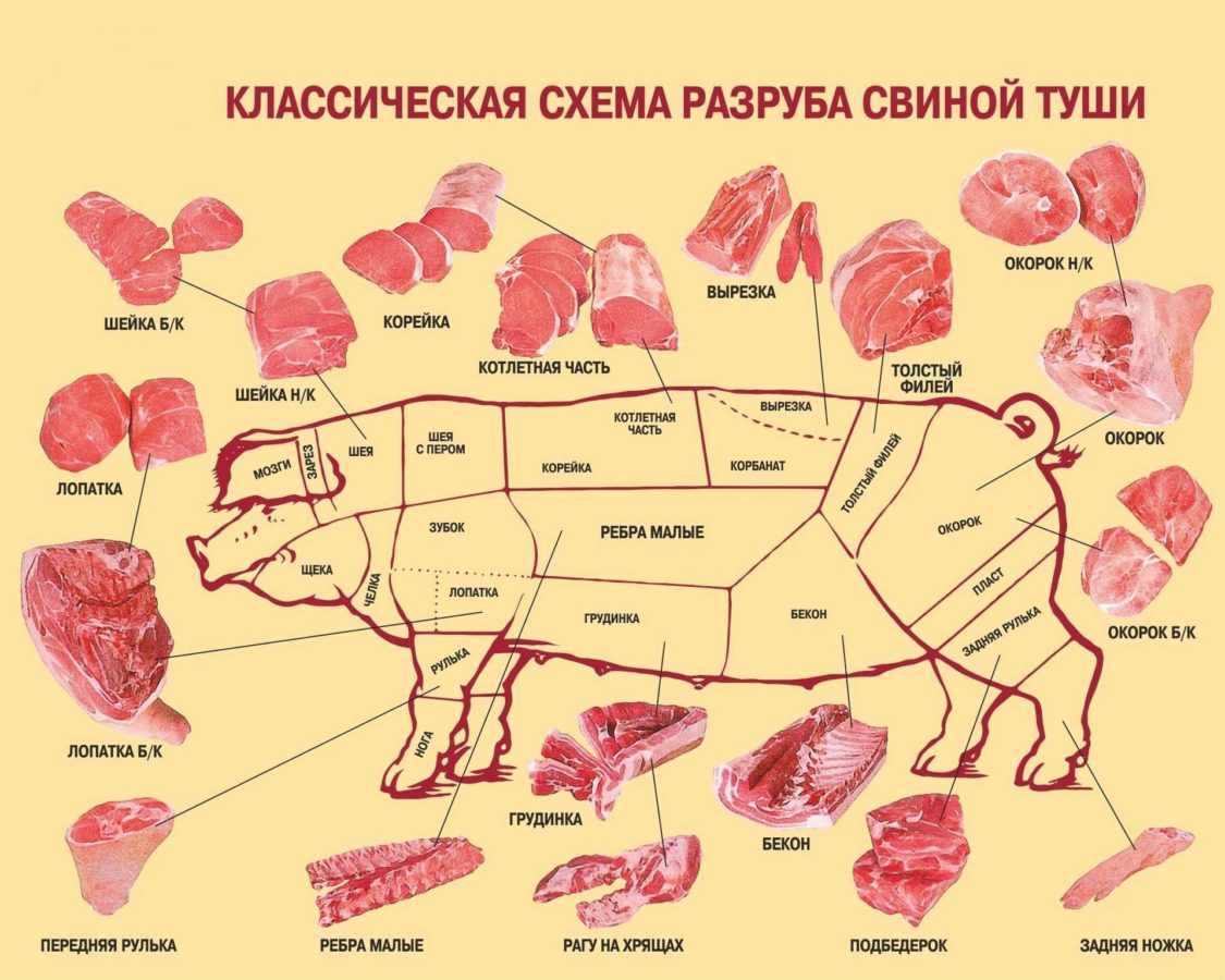Как правильно зарезать свинью: инструкция по забою