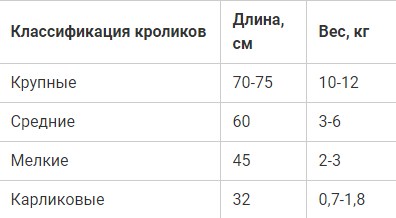 Размеры маточника для крольчихи